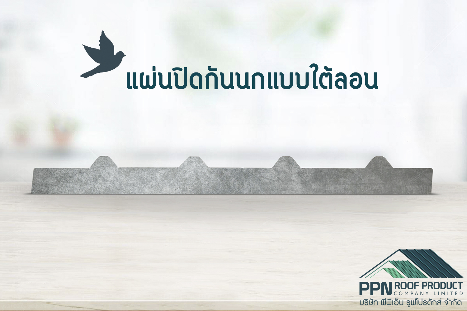 10 วิธีไล่นก ไม่ให้ทำรังใต้ชายคาอาคารอย่างสันติวิธี